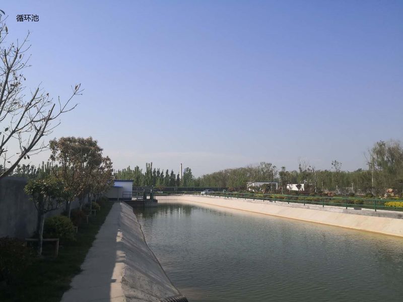Китай Shandong Xingshun New Material Co., Ltd. Профиль компании 
